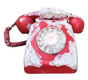 Contact Liz